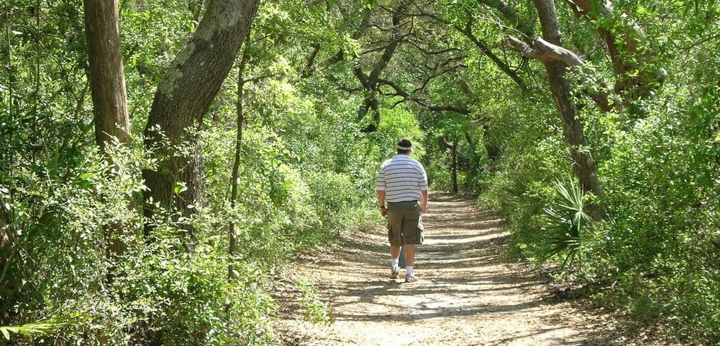 Guided Nature Hike @ Camp Helen State Park