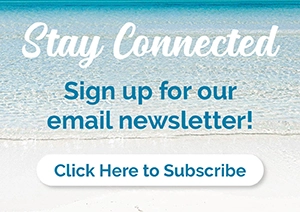 SoWal-Connections-Email-Signup